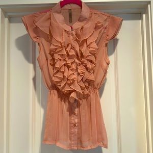 Blush pink sheer ruffle top. Button up with detail/elastic at the waist.